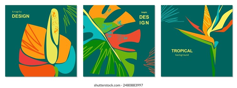 Conjunto de tarjetas brillantes de verano con hojas de monstruos abstractos y flores tropicales. Flores Anthurium y Strelitzia. En un estilo minimalista moderno. Plantilla para publicidad, portada, social, póster, ventas. vec cuadrado