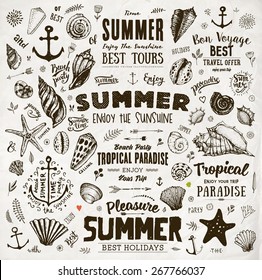 Set of Summer Elements: Calligraphic Labels, Seashells, Flowers, Anchors. Hand Drawn Style. Typographic Design for Logo or Label. Summer Holidays. Tropical Paradise, Best Tour, Beach Party, Bon Voyage