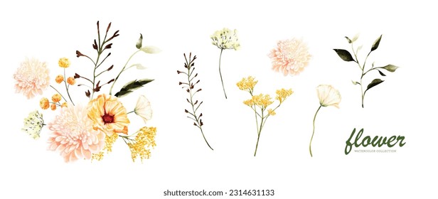 Conjunto de diseño vectorial de ramos florales de verano. Colección vectorial de la acuarela botánica de flores, hojas y ramas.