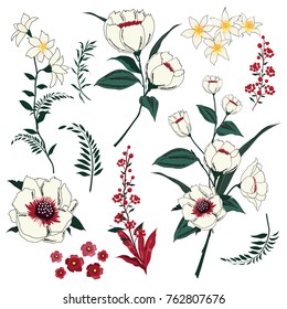 Set of Summer Floral Greeting Card with Blooming  garden flowers, botanical natural Illustration on white  in hand drawn style.