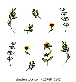 Set summer flower, leaves.Art line, doodle. Vector illustration on an isolated white background. Modern element for postcard, drawing up a pattern,for creating wreath, greeting card, textille. EPS 10