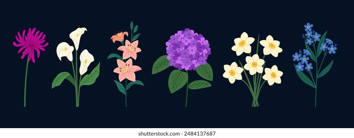 Set of summer flowers. Blossomed aster, daffodils, lilly, forget me not, calla, hydrangea. Hand drawn vector illustration isolated on black background, modern flat cartoon style.