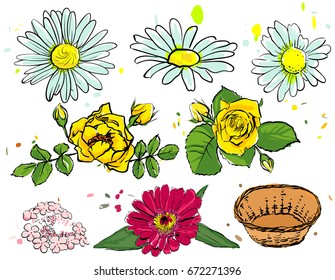 Set of summer flowers. Camomile, yellow rose, empty basket. Isolated on white vector illustration