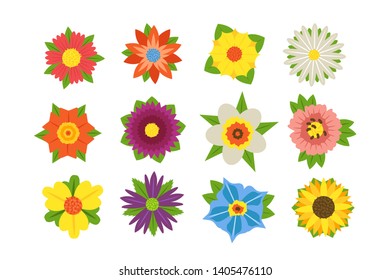 Set of summer flowers vector illustration. Collection consists of beautiful colorful blossoms with different shapes and forms flat style concept. Isolated on white