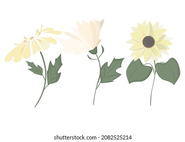 Conjunto de flores de verano.Ilustración vectorial de flores amarillas y folige exuberante sobre fondo blanco.Rudbergia, camomila, girasol.Para tarjeta de jardín, pegatinas, papel de revolver.Impresión textil,tarjeta de saludo.