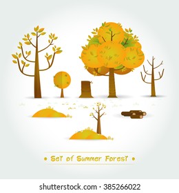 Set of summer Forest, trees and bushes on white background Vector illustration
