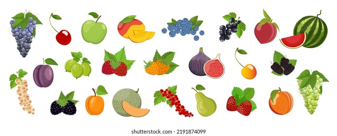 Set of summer fruits and berries, juicy multicolored assortment of delicious vegan products, vector illustration on white background, banner