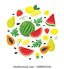 Set of summer fruits in flat design, vector illustration isolated on white background. Watermelon, papaya, lemon, strawberry. Summertime concept illustration.