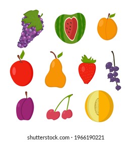 Set of summer fruits for web design or print on a white background