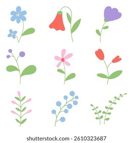Set of summer hand drawn flower. Wildflower and leaves. Floral elements. Garden plant elements. Vector flat illustration