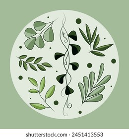 Set of summer leaves in a round frame, with a green background