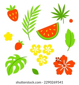 Set of summer plants. Beautiful tropical natural flowers, fruits and leaves.
