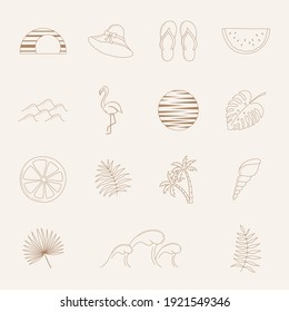 Verano, plantas, sol, fruta, pájaro. Ilustración vectorial.