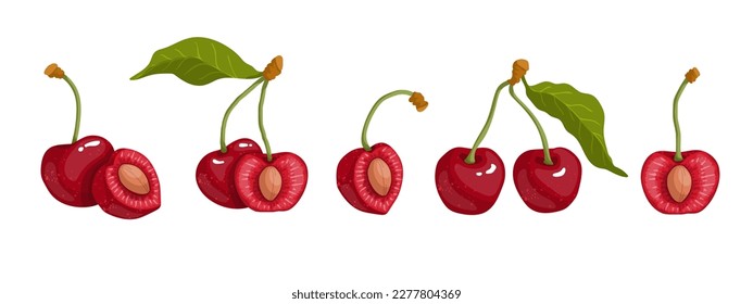 Set of summer ripe cherries.Cartoon vector graphics.	
