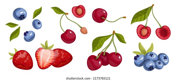 Set of summer ripe strawberries, blueberries, cherries.Cartoon vector graphics.