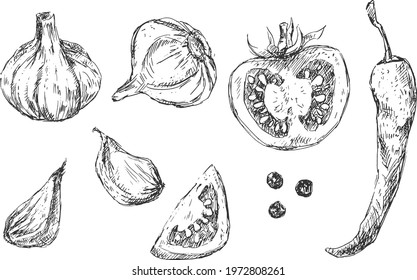 Set of summer salad vegetables and spices in sketchy style