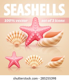 Set of summer sea shells and starfish icons. Eps10 vector illustration