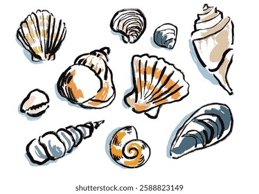 set of summer seashell hand drawn illustrations with marker texture. 