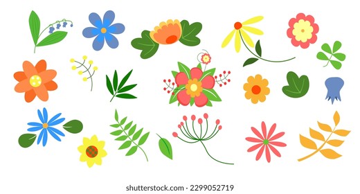 set of summer and spring flowers and leaves isolated on white background