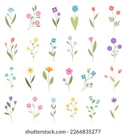 A set of summer and spring flowers. Vector illustration.