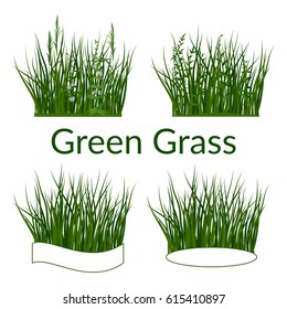 Set of Summer and Spring Landscape Elements, Green Grass, Lilac Flowers and Place for Your Text, Isolated on White Background. Vector
