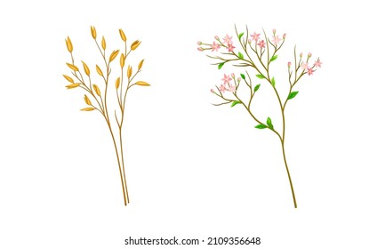 Set of summer or spring meadow flowers and plants set vector illustration
