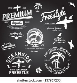 Set of Summer | Surfing Design | Tropical vector set |Hand drawing silhouette | T-shirt Printing | Badge Applique Label