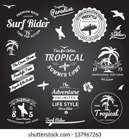 Set of Summer | Surfing Design | Tropical vector set |Hand drawing silhouette | T-shirt Printing | Badge Applique Label