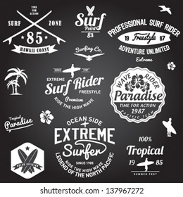 Set of Summer | Surfing Design | Tropical vector set |Hand drawing silhouette | T-shirt Printing | Badge Applique Label