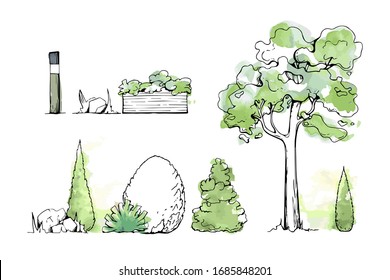 Set of summer Trees and Bushes. Tree watercolor sketches for landscape design. Vector illustration, hand drawn, isolated on white background. Also a lamp, a garden-bed, stones, grass.