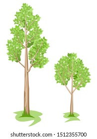 Set of summer trees with leaves. Vector illustration