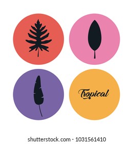 set of summer and trendy tropical leaves 