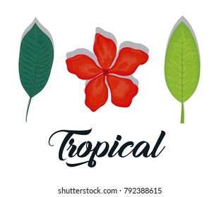 set of summer and trendy tropical leaves 