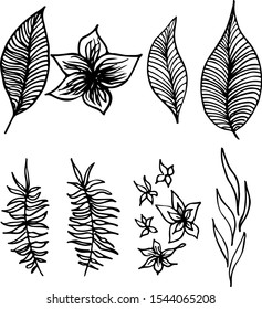 Set of summer tropical flowers. Floral botanical flower set isolated on white background. Hand drawn vector collection. Botanical Hawaii nature. Tropical palm icon. Hawaiian vector tattoo illustration