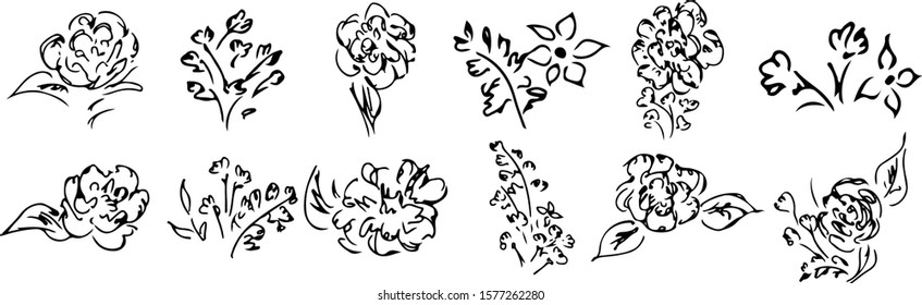 Set Of Summer Tropical Flowers. Floral Botanical Flower Set Isolated On White Background. Hand Drawn Vector Collection. Botanical Hawaii Nature. Tropical Palm Icon. Hawaiian Vector Tattoo Illustration