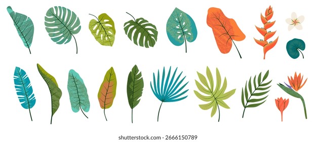 Set of summer tropical leaves in flat vector style. Isolated abstract bright elements with texture effect. Palm tree, monstera, strelitzia flower. Ideal for invitation, cover, card, poster, sticker.