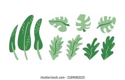 Set of summer tropical various leaves. Vector flat illustration on isolated background