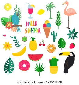 Set of summer tropicheskiy elements for design
