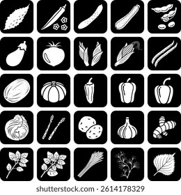 The set of summer vegetable icons isolated on white background