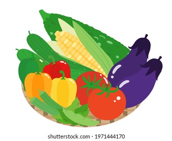 A set of summer vegetable illustrations.