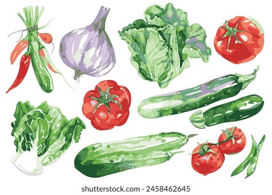 Conjunto de verduras de verano, un simple Clipart de acuarela, fondo blanco.