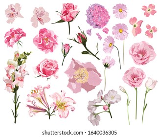 Set of Summer wild pink Floral, Greeting Card with Blooming garden flowers, botanical natural Illustration on white background in hand drawn style.