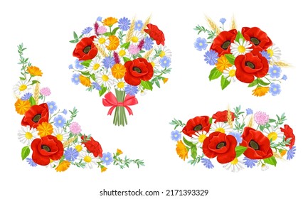 Set of summer wildflowers bouquets  isolated on white background. Vector cartoon illustration of red poppy, white daisy, clover, marigold, thyme and chicory. Floral design elements.