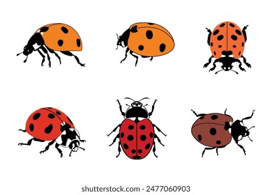 Set of summer winged ladybugs. Vector template. Isolated ladybug on white background.