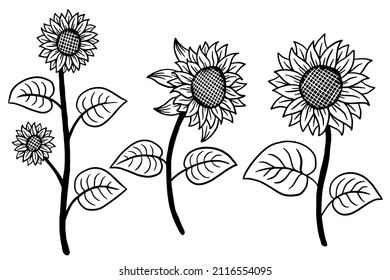 Set of Sun Flower isolated Decorative Beautiful Hand Drawn illustration