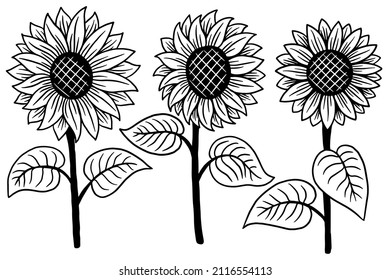 Set of Sun Flower isolated Decorative Beautiful Hand Drawn illustration