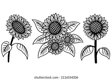 Set of Sun Flower isolated Decorative Beautiful Hand Drawn illustration