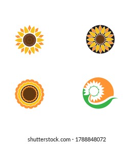 Definir diseño de icono de la plantilla de logotipo de flor solar