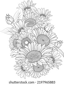 set of sun flower outline  bouquet floral hand drawn illustration sketch isolated on white background summer collection botanic leaf coloring page for adult.