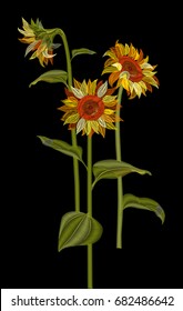Set of Sunflower, embroidery (imitation satin stitches style), three yellow flowers, green leaves on black background, digital draw, decorative illustration, pattern for fashion, vector